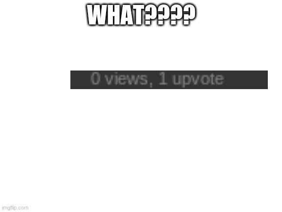 Blank White Template | WHAT???? | image tagged in blank white template | made w/ Imgflip meme maker