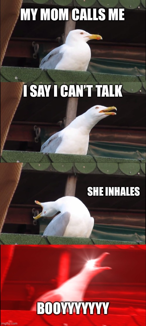 Scream | MY MOM CALLS ME; I SAY I CAN’T TALK; SHE INHALES; BOOYYYYYYY | image tagged in memes,inhaling seagull | made w/ Imgflip meme maker