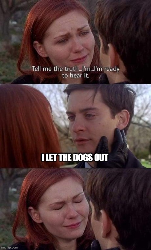 Why pete :( | I LET THE DOGS OUT | image tagged in tell me the truth i'm ready to hear it | made w/ Imgflip meme maker
