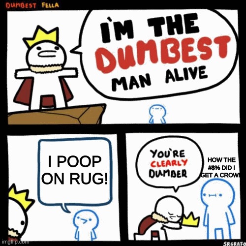 I'm the dumbest man alive | I POOP ON RUG! HOW THE #$% DID I GET A CROWN | image tagged in i'm the dumbest man alive | made w/ Imgflip meme maker