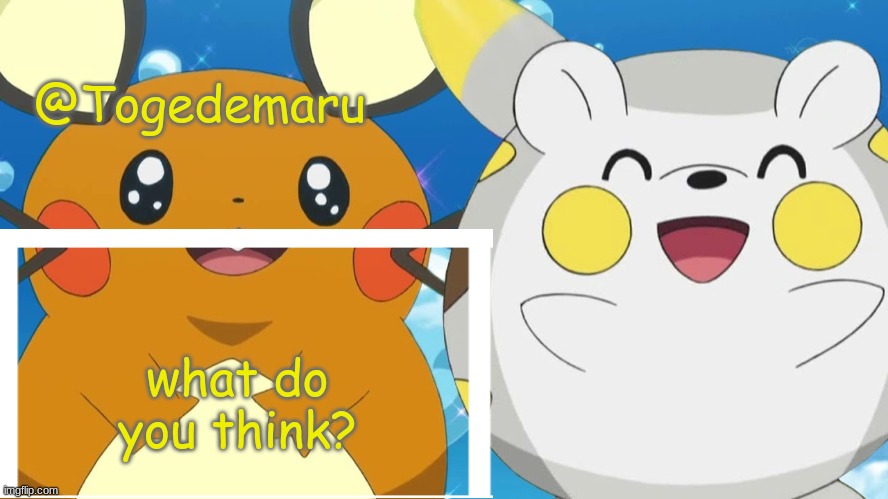 Togedemaru | what do you think? | image tagged in togedemaru | made w/ Imgflip meme maker