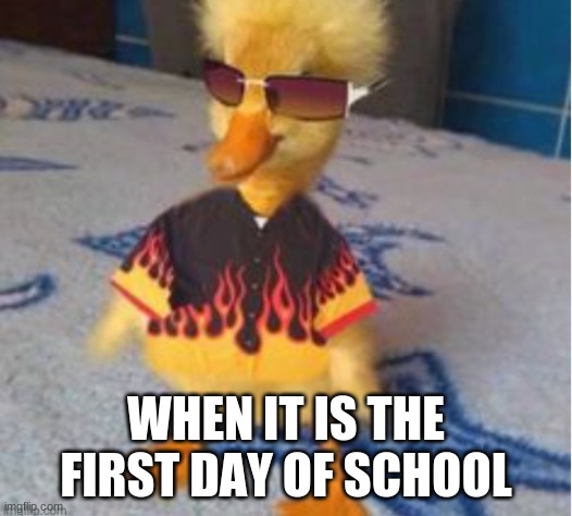 WHEN IT IS THE FIRST DAY OF SCHOOL | image tagged in school | made w/ Imgflip meme maker