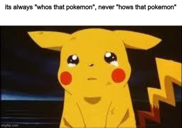 DE | its always "whos that pokemon", never "hows that pokemon" | image tagged in sad pikachu | made w/ Imgflip meme maker