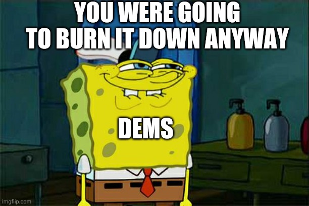 Politics and stuff | YOU WERE GOING TO BURN IT DOWN ANYWAY; DEMS | image tagged in memes,don't you squidward | made w/ Imgflip meme maker
