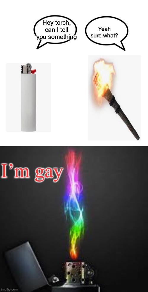 Not that there is anything wrong just a joke (note from mod: haha funny) | Hey torch, can I tell you something; Yeah sure what? I’m gay | image tagged in supposed to be funny,memes | made w/ Imgflip meme maker