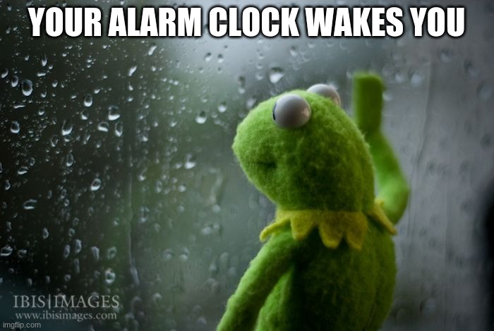 kermit window | YOUR ALARM CLOCK WAKES YOU | image tagged in kermit window | made w/ Imgflip meme maker