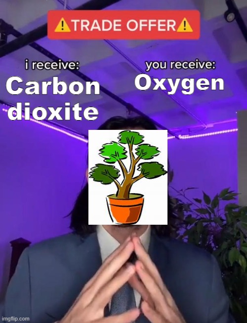Tree trade offer | Oxygen; Carbon dioxite | image tagged in trade offer,memes | made w/ Imgflip meme maker