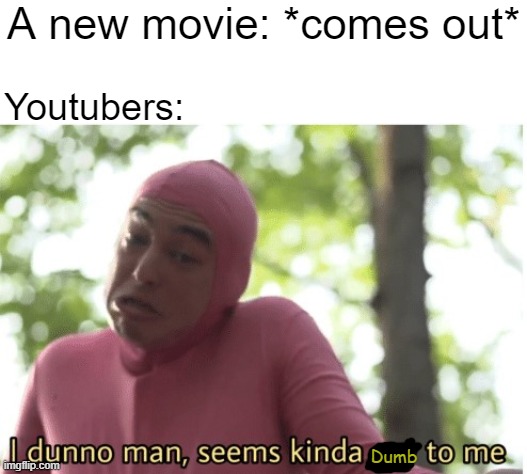 it's true | A new movie: *comes out*; Youtubers:; Dumb | image tagged in i dunno man seems kinda gay to me,movies | made w/ Imgflip meme maker