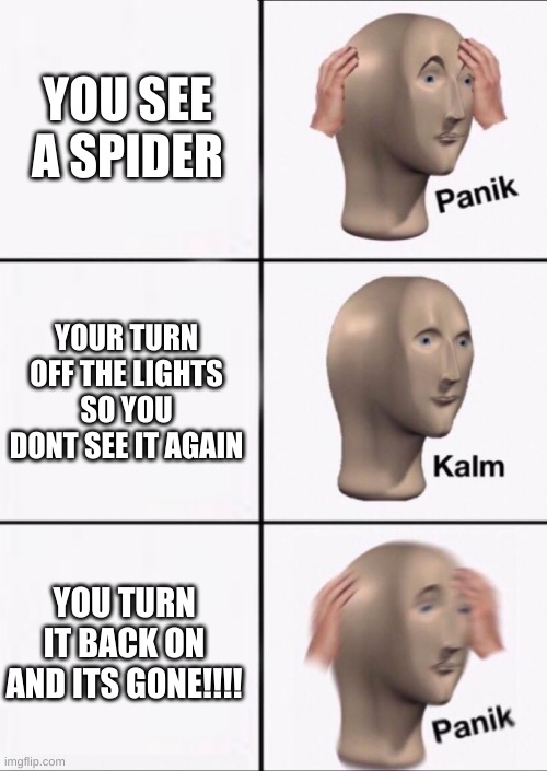 Stonks Panic Calm Panic | YOU SEE A SPIDER; YOUR TURN OFF THE LIGHTS SO YOU DONT SEE IT AGAIN; YOU TURN IT BACK ON AND ITS GONE!!!! | image tagged in stonks panic calm panic | made w/ Imgflip meme maker