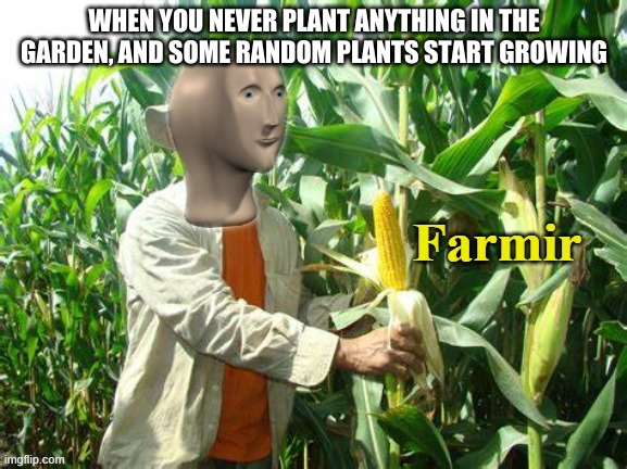 Stonks Farmir | WHEN YOU NEVER PLANT ANYTHING IN THE GARDEN, AND SOME RANDOM PLANTS START GROWING | image tagged in stonks farmir | made w/ Imgflip meme maker
