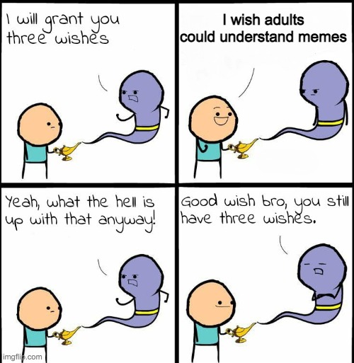 genie what the hell is up with that anyway | I wish adults could understand memes | image tagged in genie what the hell is up with that anyway | made w/ Imgflip meme maker