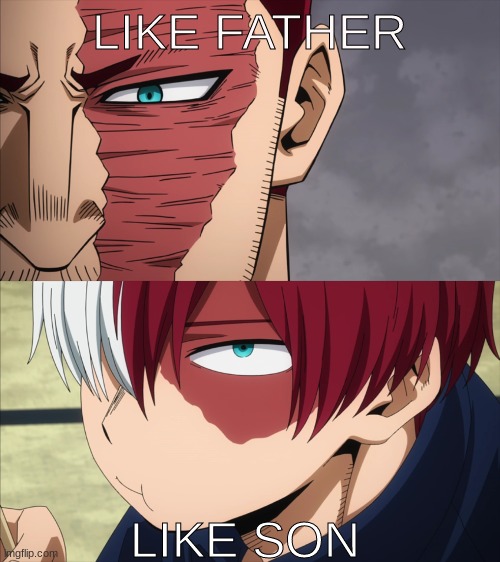 LIKE FATHER; LIKE SON | image tagged in todoroki,family | made w/ Imgflip meme maker