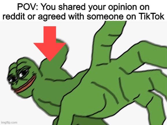 oh no boutta get downvoted into hecc | POV: You shared your opinion on reddit or agreed with someone on TikTok | image tagged in pepe punch,memes | made w/ Imgflip meme maker