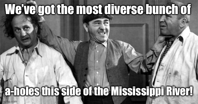 Three Stooges | We’ve got the most diverse bunch of a-holes this side of the Mississippi River! | image tagged in three stooges | made w/ Imgflip meme maker
