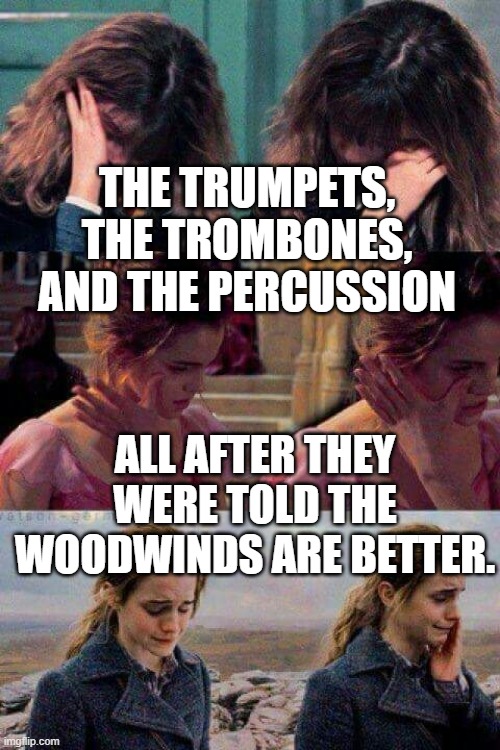 Crying brass and percussion | THE TRUMPETS,












THE TROMBONES,
AND THE PERCUSSION; ALL AFTER THEY WERE TOLD THE WOODWINDS ARE BETTER. | image tagged in hermione crying | made w/ Imgflip meme maker