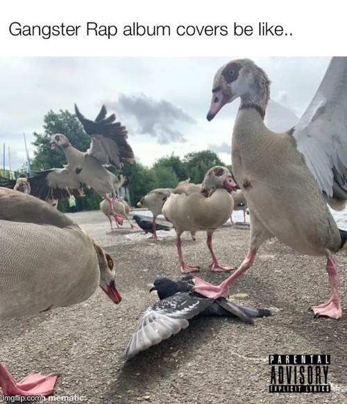 They do be like that tho | image tagged in funny memes,funny,memes | made w/ Imgflip meme maker