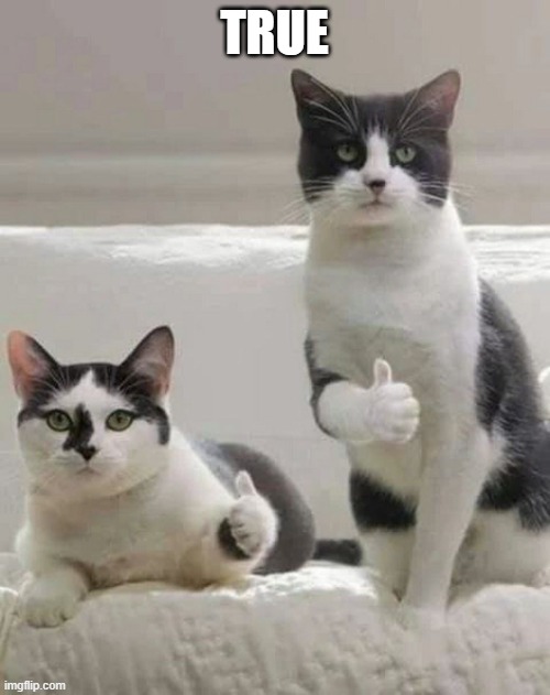 THUMBS UP CATS | TRUE | image tagged in thumbs up cats | made w/ Imgflip meme maker