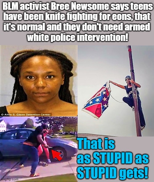 BLM & confederate flag | BLM activist Bree Newsome says teens
have been knife fighting for eons, that 
it's normal and they don't need armed 
white police intervention! That is
as STUPID as
STUPID gets! | image tagged in blm,knife,knives,violence,teenager,police shooting | made w/ Imgflip meme maker