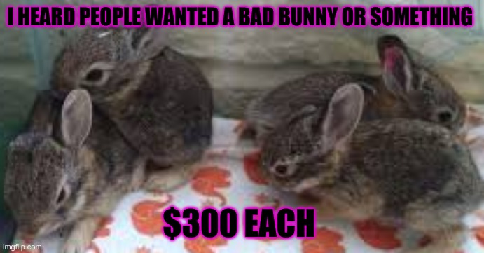 I HEARD PEOPLE WANTED A BAD BUNNY OR SOMETHING; $300 EACH | image tagged in mexican | made w/ Imgflip meme maker