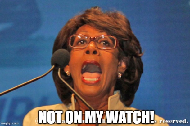 Maxine waters | NOT ON MY WATCH! | image tagged in maxine waters | made w/ Imgflip meme maker