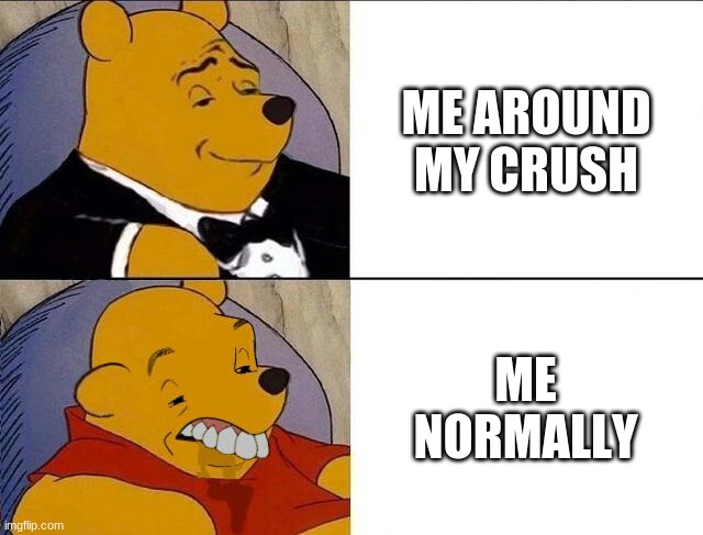 Tuxedo Winnie the Pooh grossed reverse | ME AROUND MY CRUSH; ME NORMALLY | image tagged in tuxedo winnie the pooh grossed reverse | made w/ Imgflip meme maker