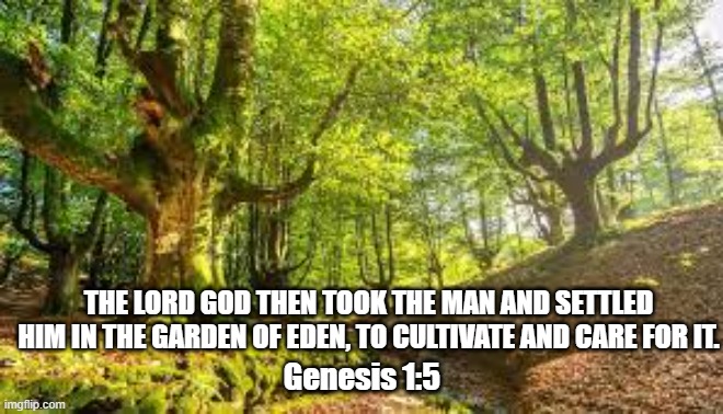 Garden of Eden | THE LORD GOD THEN TOOK THE MAN AND SETTLED HIM IN THE GARDEN OF EDEN, TO CULTIVATE AND CARE FOR IT. Genesis 1:5 | image tagged in christianity | made w/ Imgflip meme maker