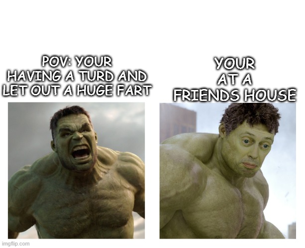 Did i use the POV right? | YOUR AT A FRIENDS HOUSE; POV: YOUR HAVING A TURD AND LET OUT A HUGE FART | image tagged in hulk angry then realizes he's wrong | made w/ Imgflip meme maker