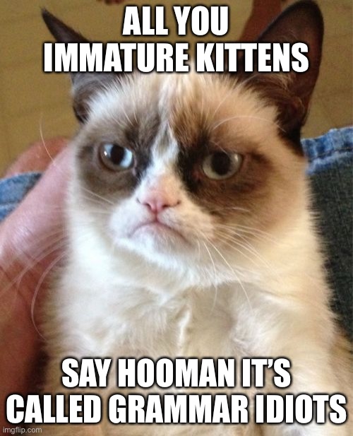 Long live the grumpy cat | ALL YOU IMMATURE KITTENS; SAY HOOMAN IT’S CALLED GRAMMAR IDIOTS | image tagged in memes,grumpy cat | made w/ Imgflip meme maker