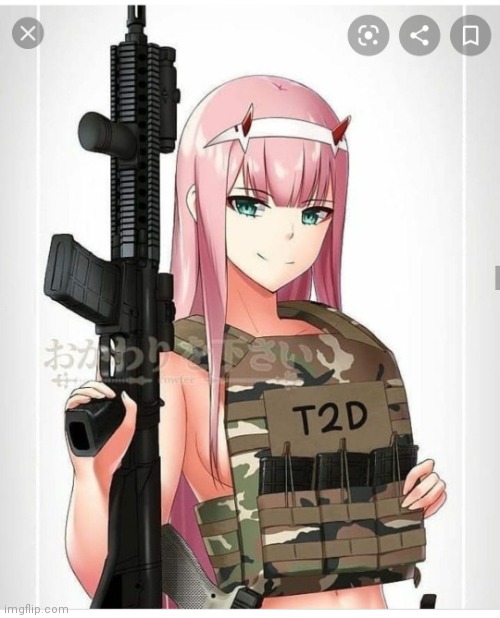 2nd amendment zero two | image tagged in 2nd amendment zero two | made w/ Imgflip meme maker