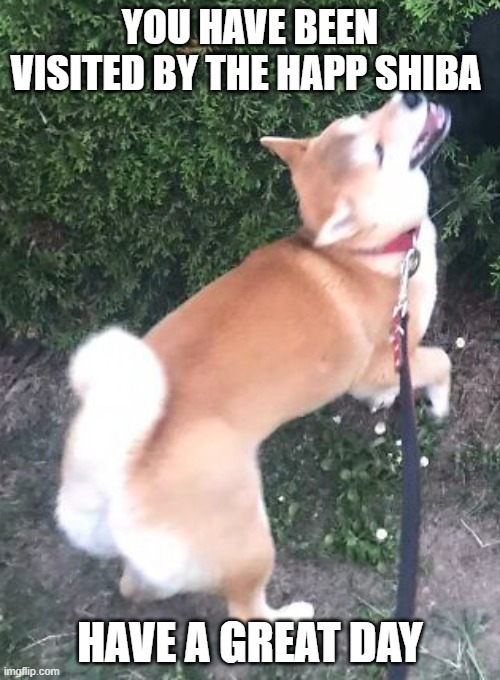 YOU HAVE BEEN VISITED BY THE HAPP SHIBA; HAVE A GREAT DAY | made w/ Imgflip meme maker
