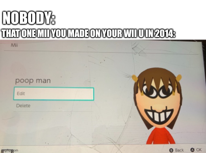 Nice. | NOBODY:; THAT ONE MII YOU MADE ON YOUR WII U IN 2014: | image tagged in funny,memes | made w/ Imgflip meme maker