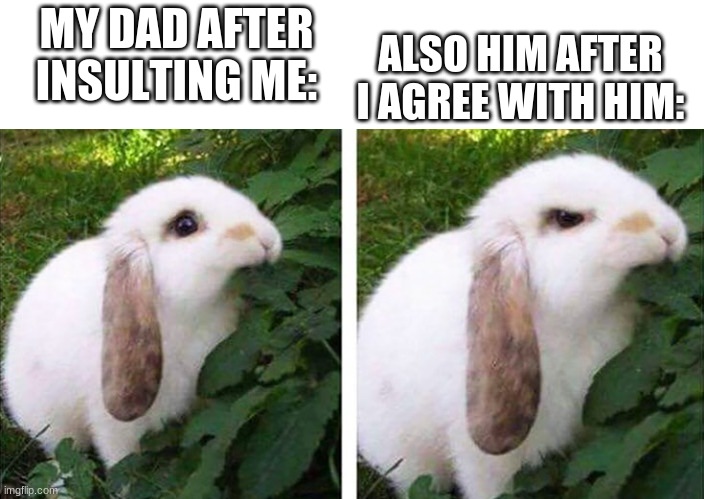 1 time he was like "you're fucking trash" I said "Yup, that's me" and he said "Shut the fuck up Christopher" | ALSO HIM AFTER I AGREE WITH HIM:; MY DAD AFTER INSULTING ME: | image tagged in angry bunny | made w/ Imgflip meme maker