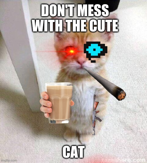 e | DON'T MESS WITH THE CUTE; CAT | image tagged in memes,cute cat | made w/ Imgflip meme maker