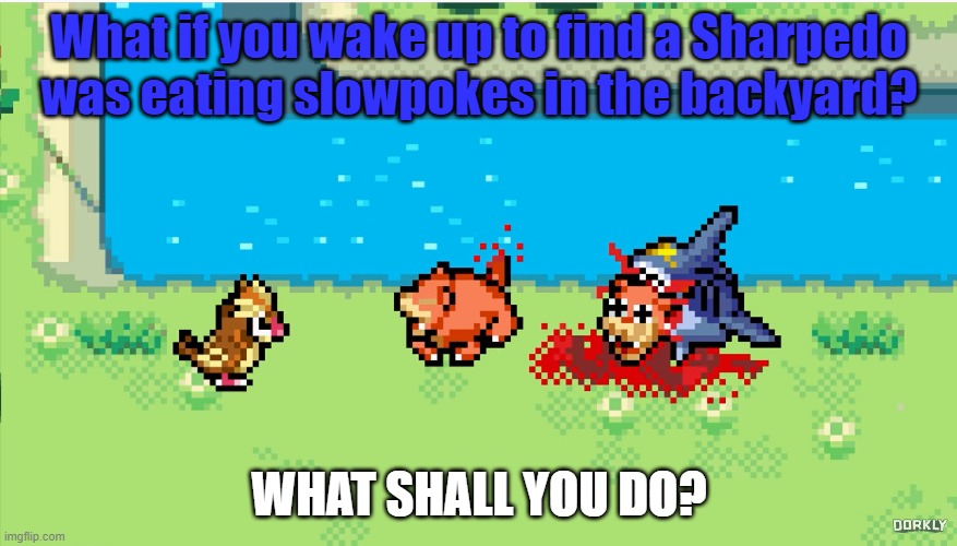 What if you saw Sharpedo | What if you wake up to find a Sharpedo was eating slowpokes in the backyard? WHAT SHALL YOU DO? | image tagged in pokemon | made w/ Imgflip meme maker