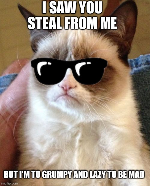 Grumpy Cat | I SAW YOU STEAL FROM ME; BUT I’M TO GRUMPY AND LAZY TO BE MAD | image tagged in memes,grumpy cat | made w/ Imgflip meme maker