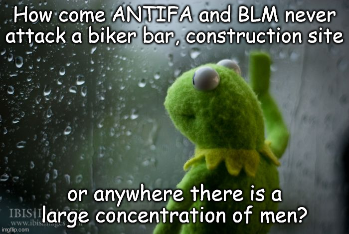 BLM and Antifa scared | How come ANTIFA and BLM never attack a biker bar, construction site; or anywhere there is a large concentration of men? | image tagged in kermit window,blm,antifa | made w/ Imgflip meme maker