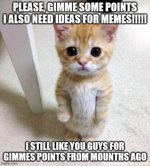 PLZ GIMME POINTS!!!!! | PLEASE, GIMME SOME POINTS I ALSO NEED IDEAS FOR MEMES!!!!! I STILL LIKE YOU GUYS FOR GIMMES POINTS FROM MOUNTHS AGO | image tagged in memes,cute cat | made w/ Imgflip meme maker