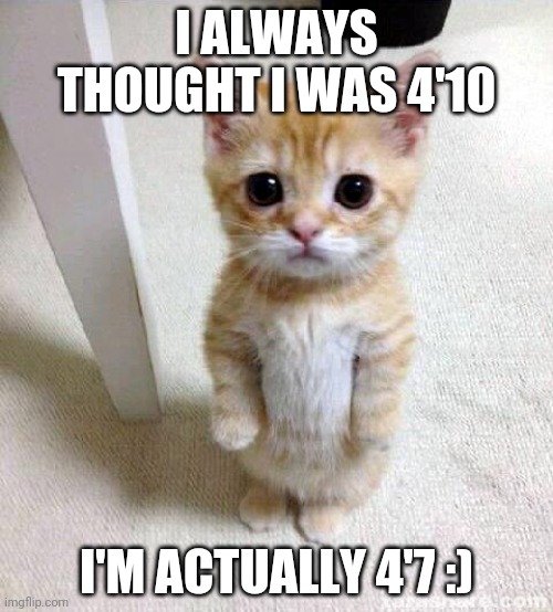 147 cm, 138 cm for ya non yankees (I'm also in high school and afab so I'm done growing) | I ALWAYS THOUGHT I WAS 4'10; I'M ACTUALLY 4'7 :) | image tagged in memes,cute cat | made w/ Imgflip meme maker