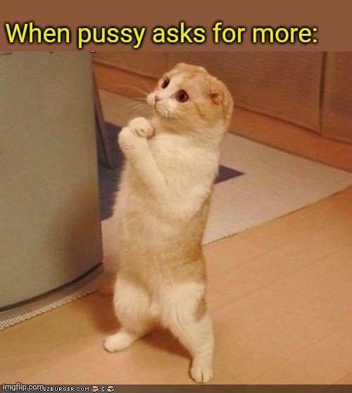 ._. | When pussy asks for more: | image tagged in please sir | made w/ Imgflip meme maker