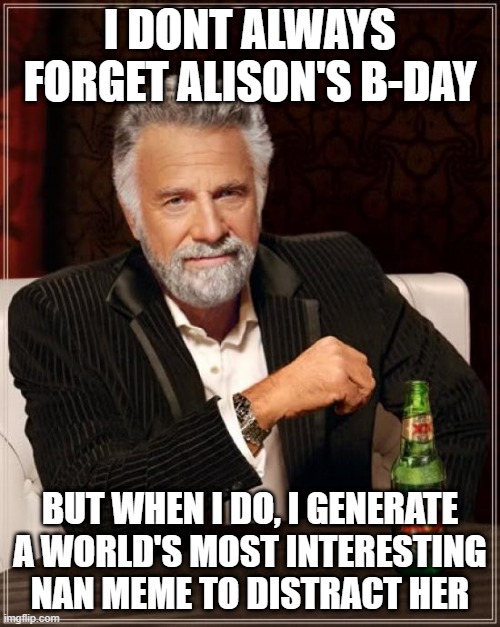 The Most Interesting Man In The World Meme | I DONT ALWAYS FORGET ALISON'S B-DAY; BUT WHEN I DO, I GENERATE A WORLD'S MOST INTERESTING NAN MEME TO DISTRACT HER | image tagged in memes,the most interesting man in the world | made w/ Imgflip meme maker