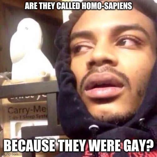 Shower Thoughts | ARE THEY CALLED HOMO-SAPIENS; BECAUSE THEY WERE GAY? | image tagged in coffee enema high thoughts | made w/ Imgflip meme maker