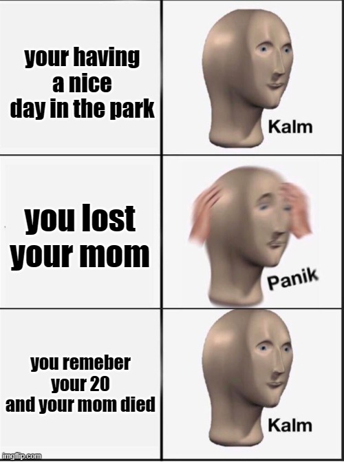 Reverse kalm panik | your having a nice day in the park; you lost your mom; you remeber your 20 and your mom died | image tagged in reverse kalm panik | made w/ Imgflip meme maker