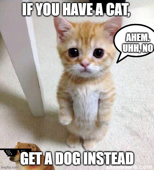 savage dog | IF YOU HAVE A CAT, AHEM. UHH, NO; GET A DOG INSTEAD | image tagged in memes,cute cat,upvote,fishy | made w/ Imgflip meme maker