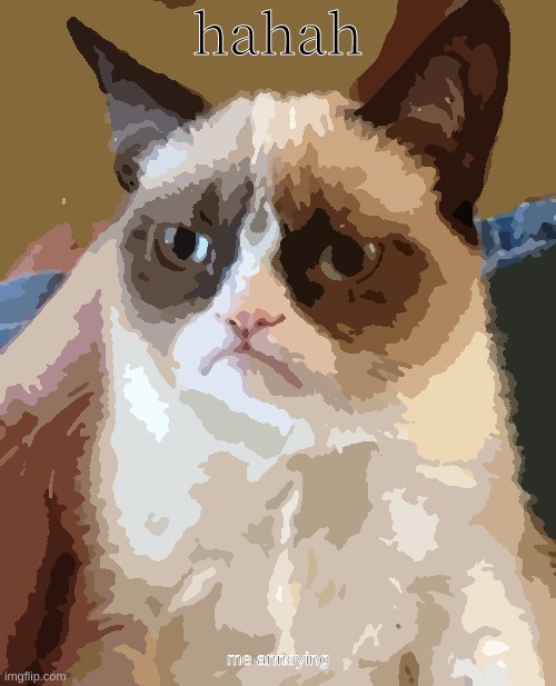 hehhe | hahah; me annoying | image tagged in memes,grumpy cat | made w/ Imgflip meme maker