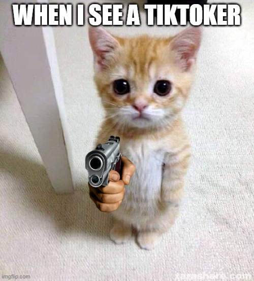 Cute Cat Meme | WHEN I SEE A TIKTOKER | image tagged in memes,cute cat | made w/ Imgflip meme maker