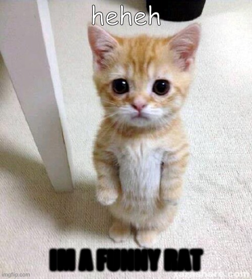 hehehehehehehe funny rat | heheh; IM A FUNNY RAT | image tagged in memes,cute cat | made w/ Imgflip meme maker