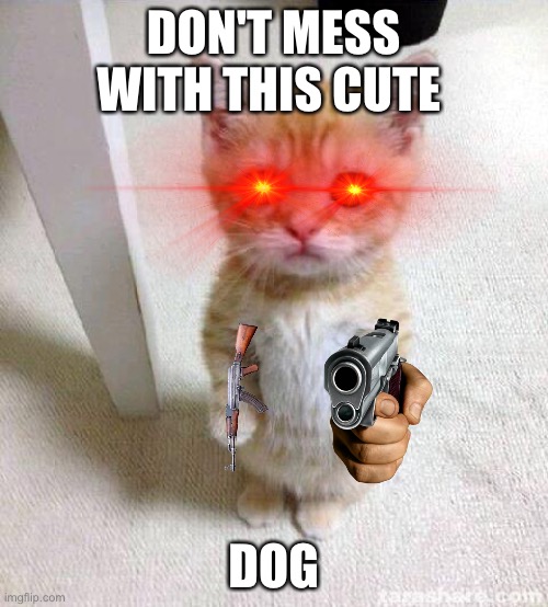 Cute Cat |  DON'T MESS WITH THIS CUTE; DOG | image tagged in memes,cute cat | made w/ Imgflip meme maker