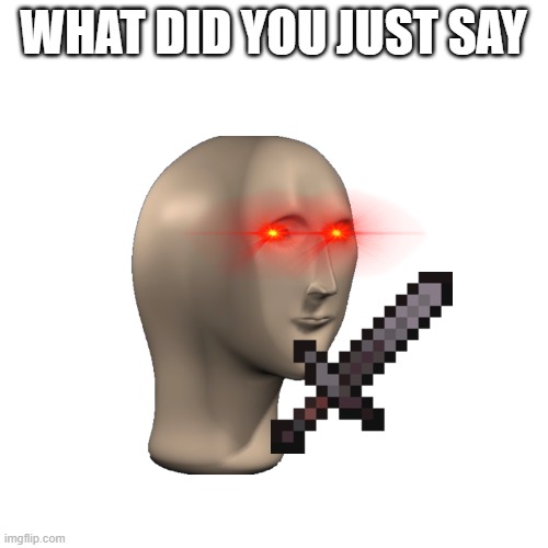 Blank Transparent Square Meme | WHAT DID YOU JUST SAY | image tagged in memes,blank transparent square | made w/ Imgflip meme maker