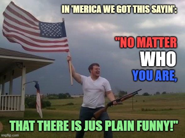 ◄► Reaction to witty lampooning of America and guns — That's funny, no matter who you are | IN 'MERICA WE GOT THIS SAYIN': "NO MATTER WHO YOU ARE, THAT THERE IS JUS PLAIN FUNNY!" | image tagged in gun loving conservative,so funny,lol,saying,america,reaction | made w/ Imgflip meme maker