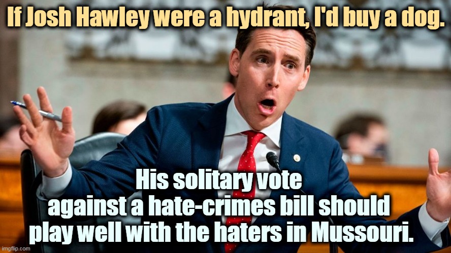The folks in Missouri sure love to hate. But Hawley will never be president. | If Josh Hawley were a hydrant, I'd buy a dog. His solitary vote 
against a hate-crimes bill should 
play well with the haters in Mussouri. | image tagged in josh hawley saying something stupid through his big mouth,stupid,racist | made w/ Imgflip meme maker